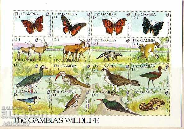 1992 Fauna of THE GAMBIA 3 blocks of 16 m.** with price 45.00 BGN | € 23.01 1992 Fauna of THE GAMBIA 3 blocks of 16 m.** with price 45.00 BGN | € 23.01
