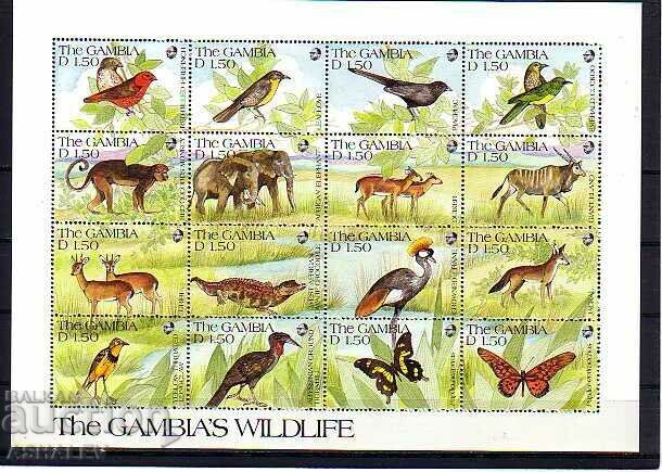1992 Fauna din GAMBIA 3 blocuri de 16 m.**