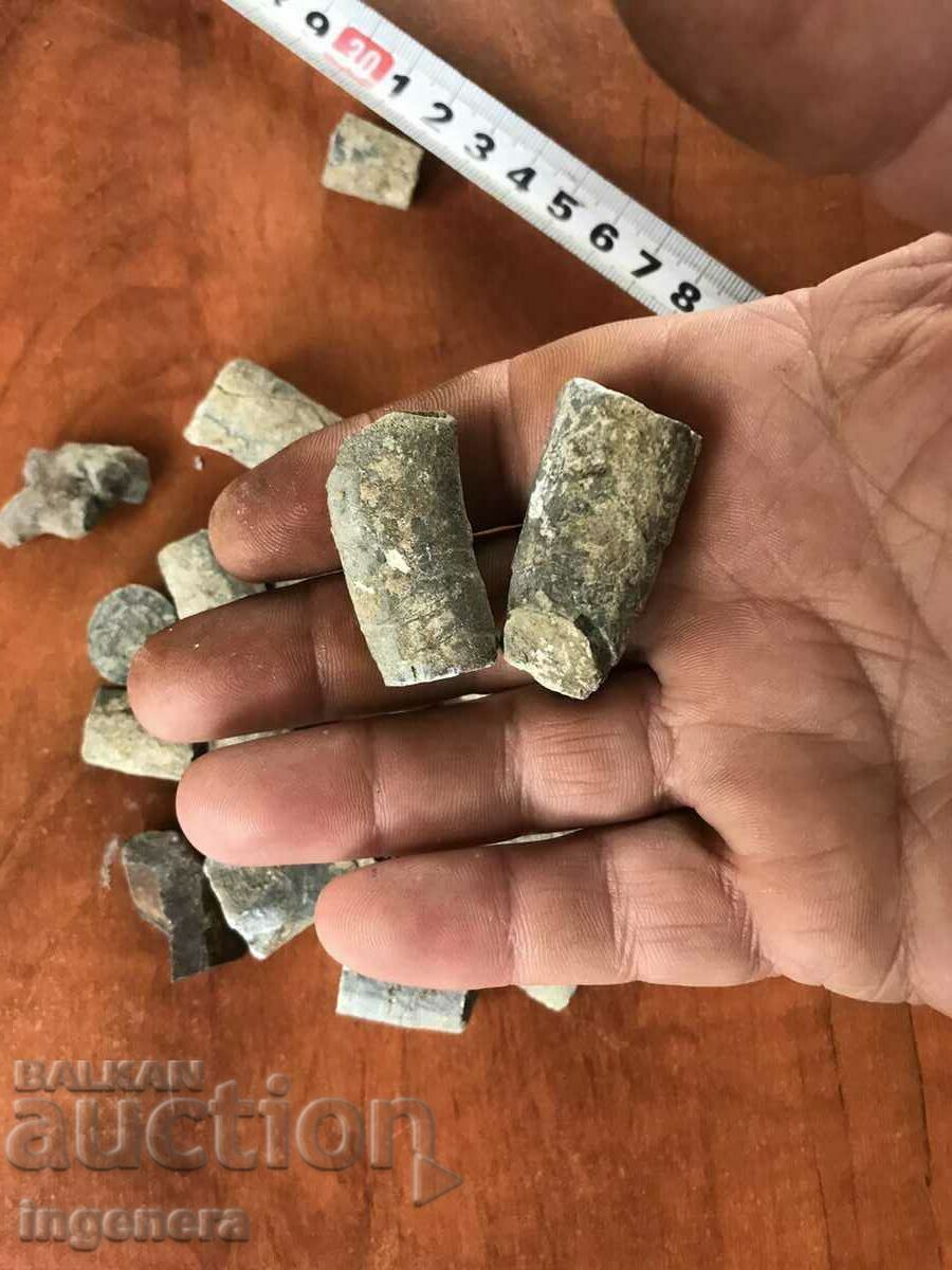 FOSSILS OF BILLION YEARS OF POOL with price 1400.00 BGN | € 715.81 FOSSILS OF BILLION YEARS OF POOL with price 1400.00 BGN | € 715.81