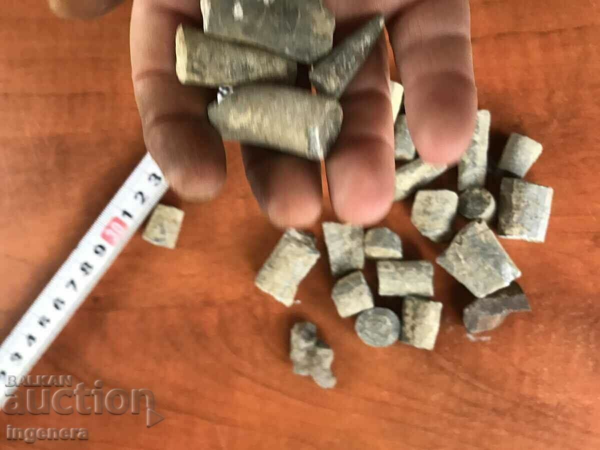 Auction FOSSILS OF BILLION YEARS OF POOL Auction FOSSILS OF BILLION YEARS OF POOL