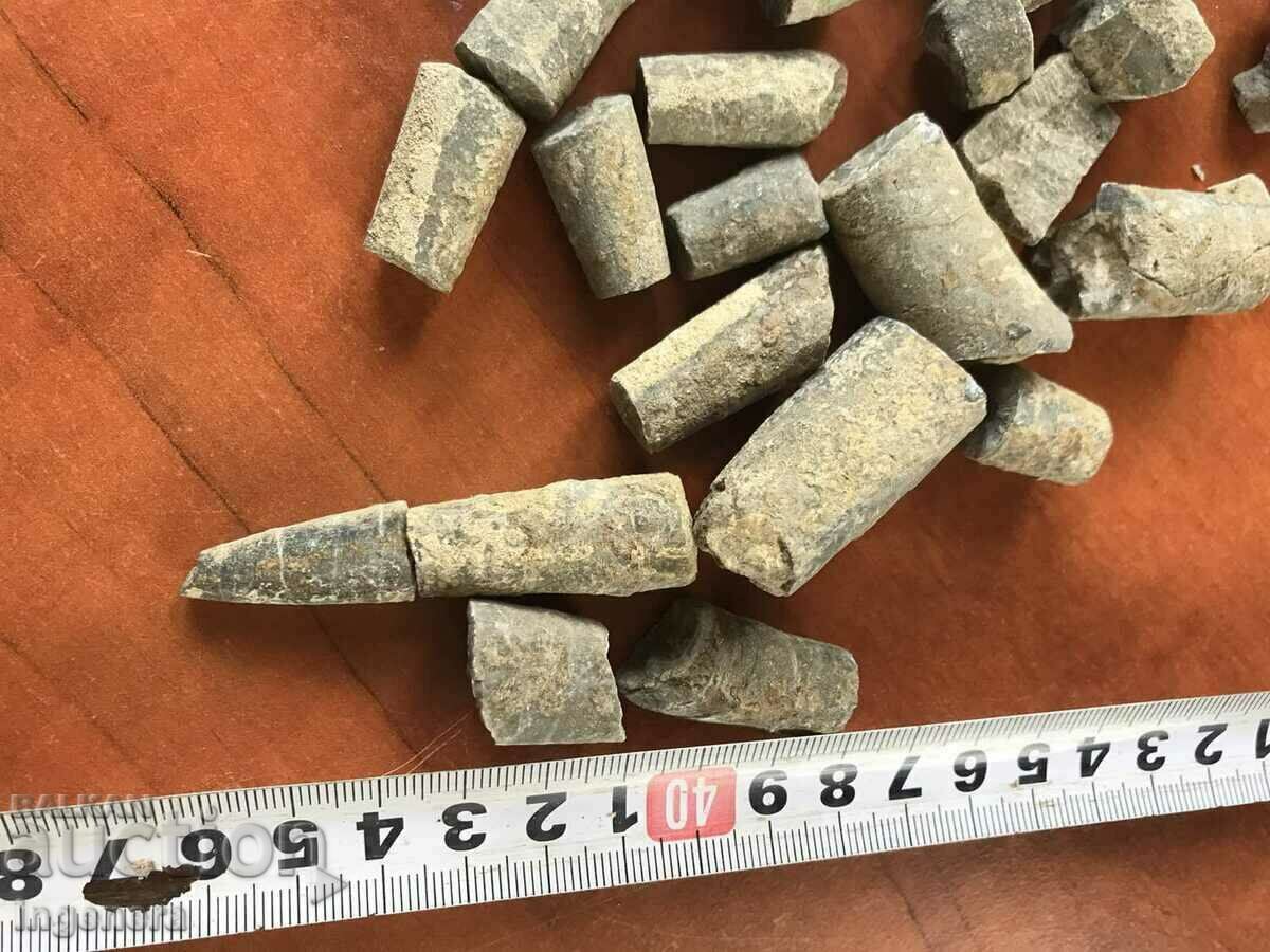 Delivery of FOSSILS OF BILLION YEARS OF POOL Delivery of FOSSILS OF BILLION YEARS OF POOL