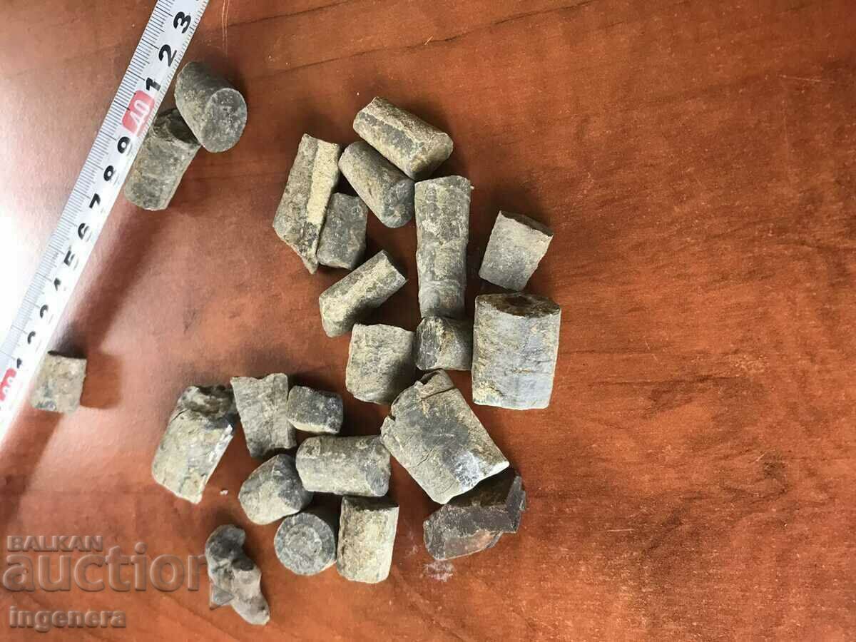 FOSSILS OF BILLION YEARS OF POOL - 6 FOSSILS OF BILLION YEARS OF POOL - 6