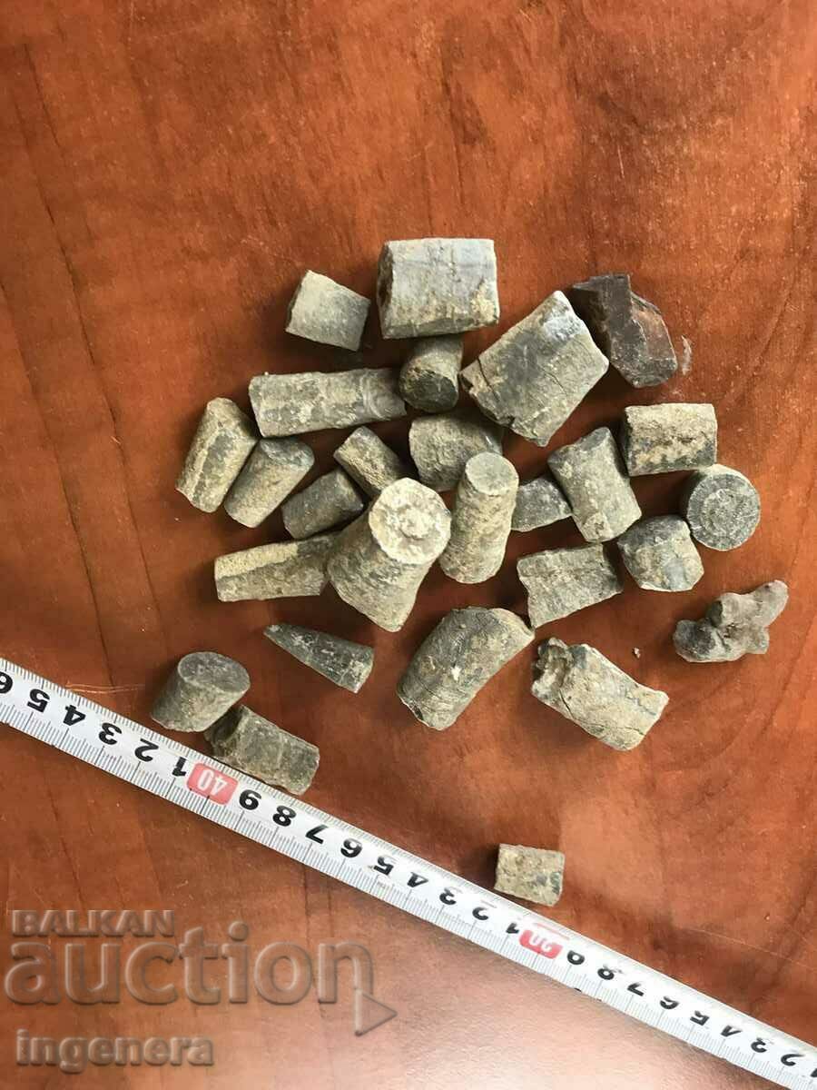 FOSSILS OF BILLION YEARS OF POOL - 7 FOSSILS OF BILLION YEARS OF POOL - 7