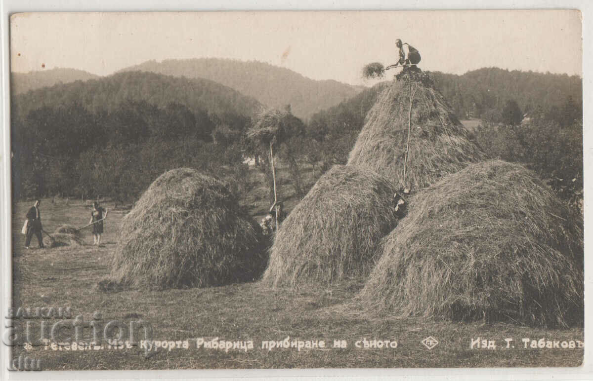 България, Тетевен, из курорта Рибарица, пътувала