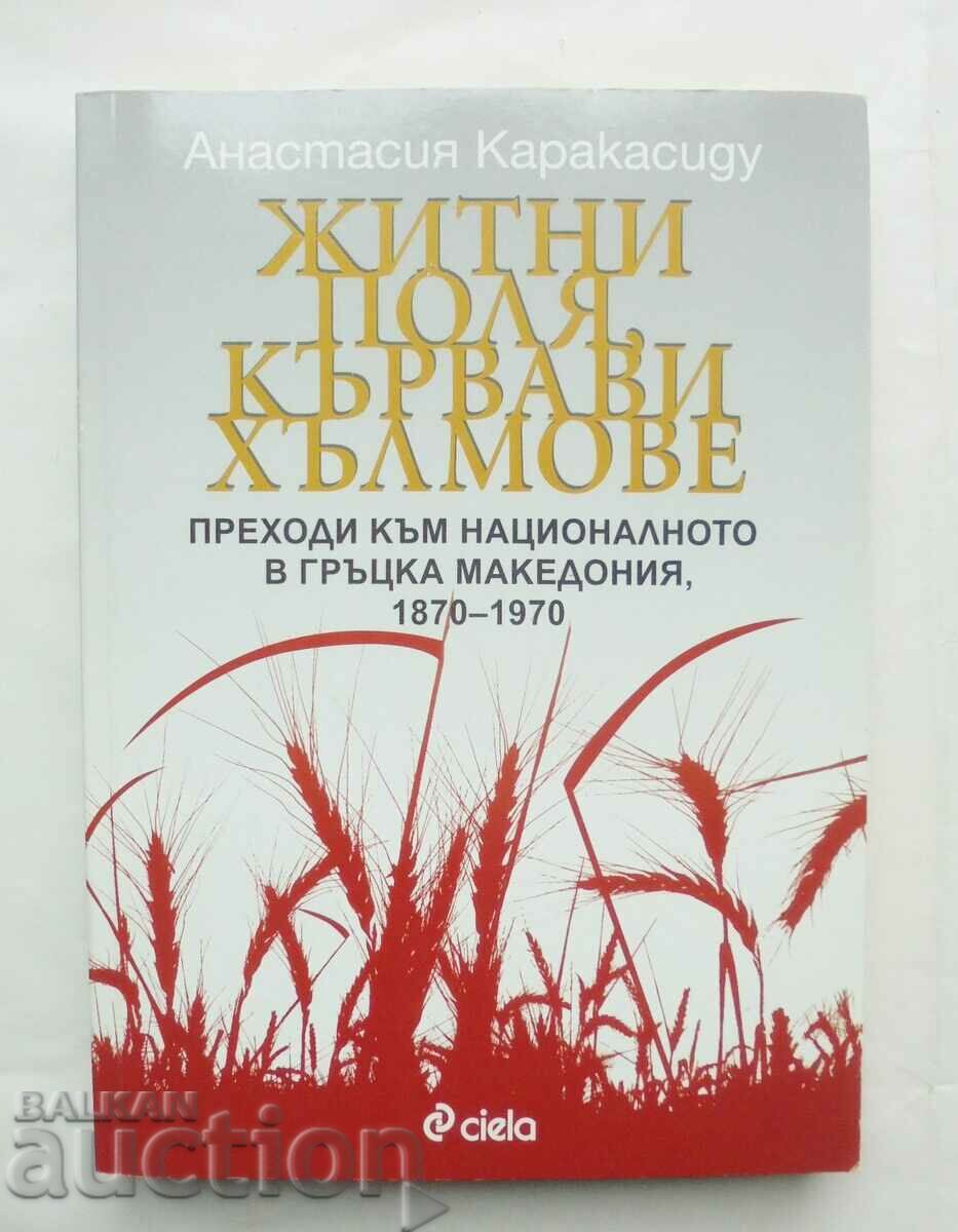 Житни поля, кървави хълмове - Анастасия Каракасиду 2008 г.