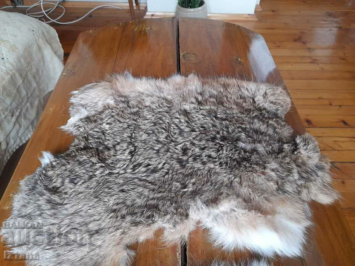 Rabbit skin, skins with price 55.00 BGN | € 28.12 Rabbit skin, skins with price 55.00 BGN | € 28.12
