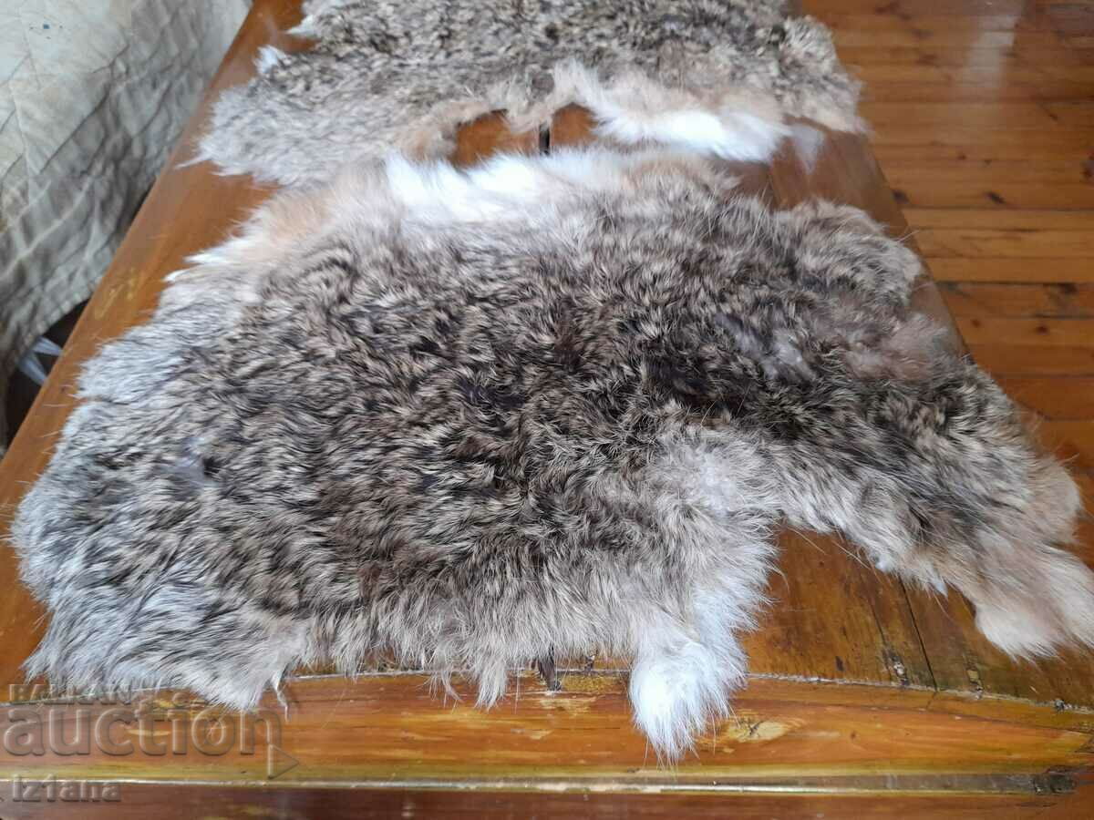 Auction Rabbit skin, skins Auction Rabbit skin, skins