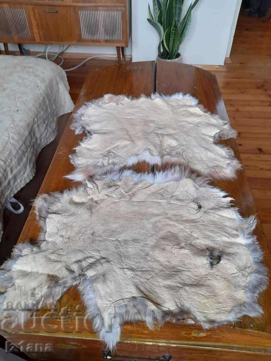 Delivery of Rabbit skin, skins Delivery of Rabbit skin, skins
