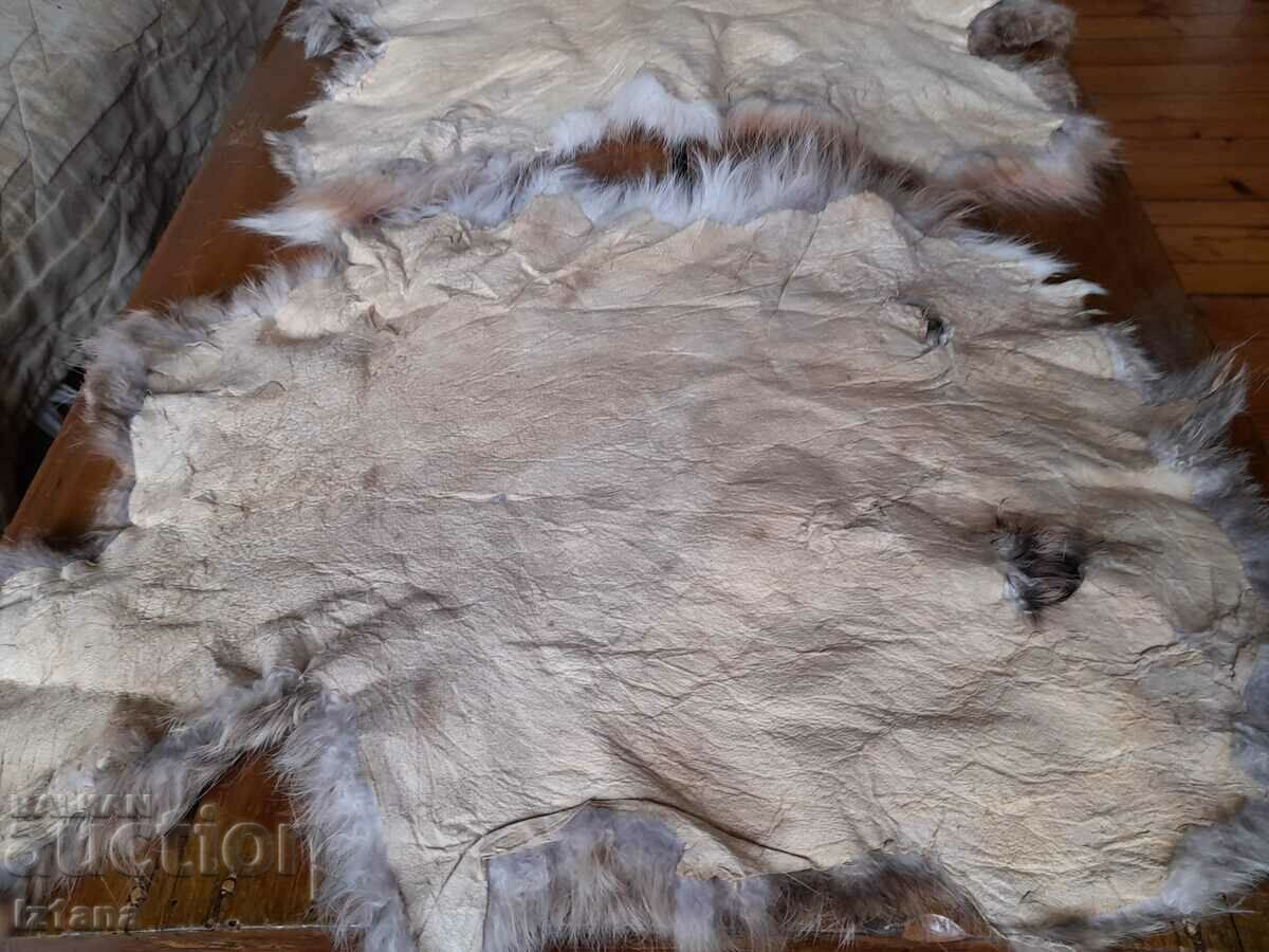 Rabbit skin, skins - 5 Rabbit skin, skins - 5