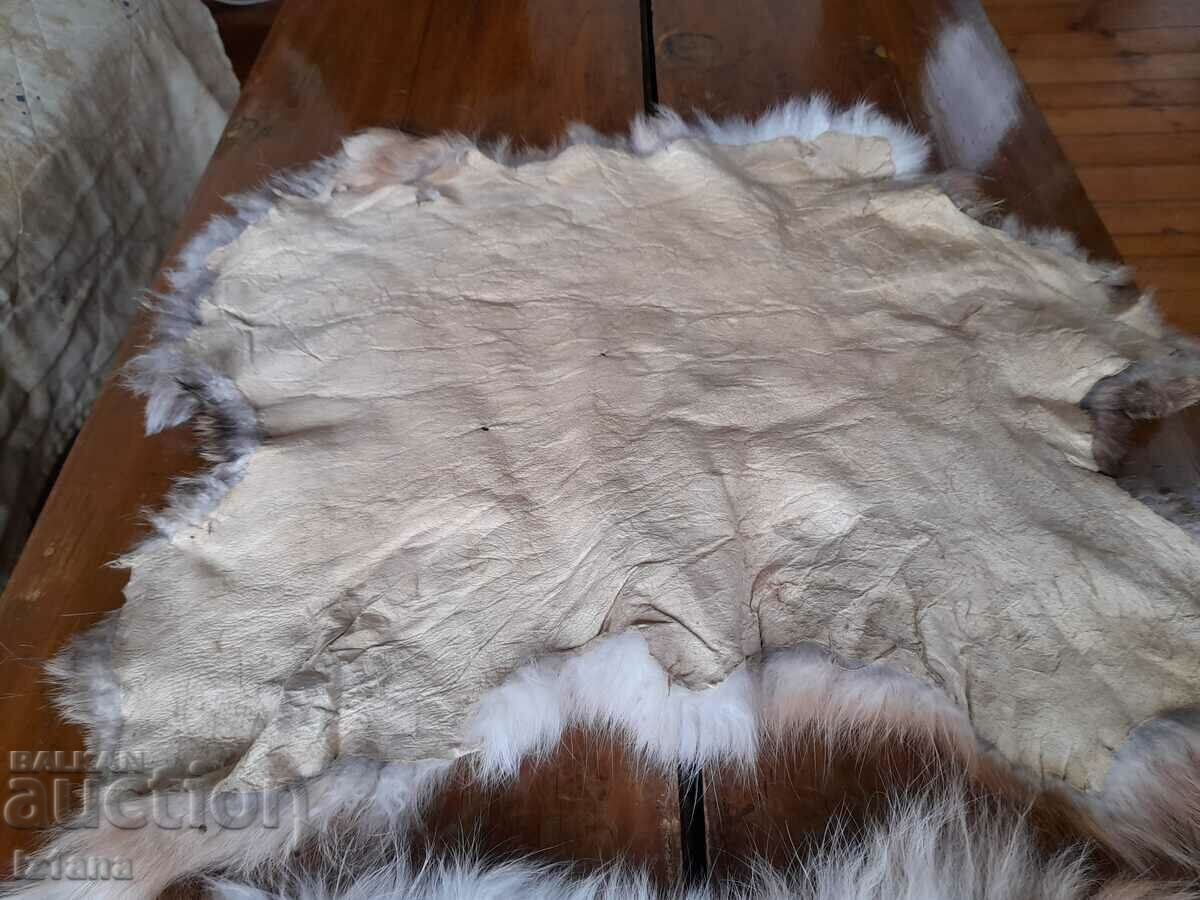 Rabbit skin, skins - 6 Rabbit skin, skins - 6