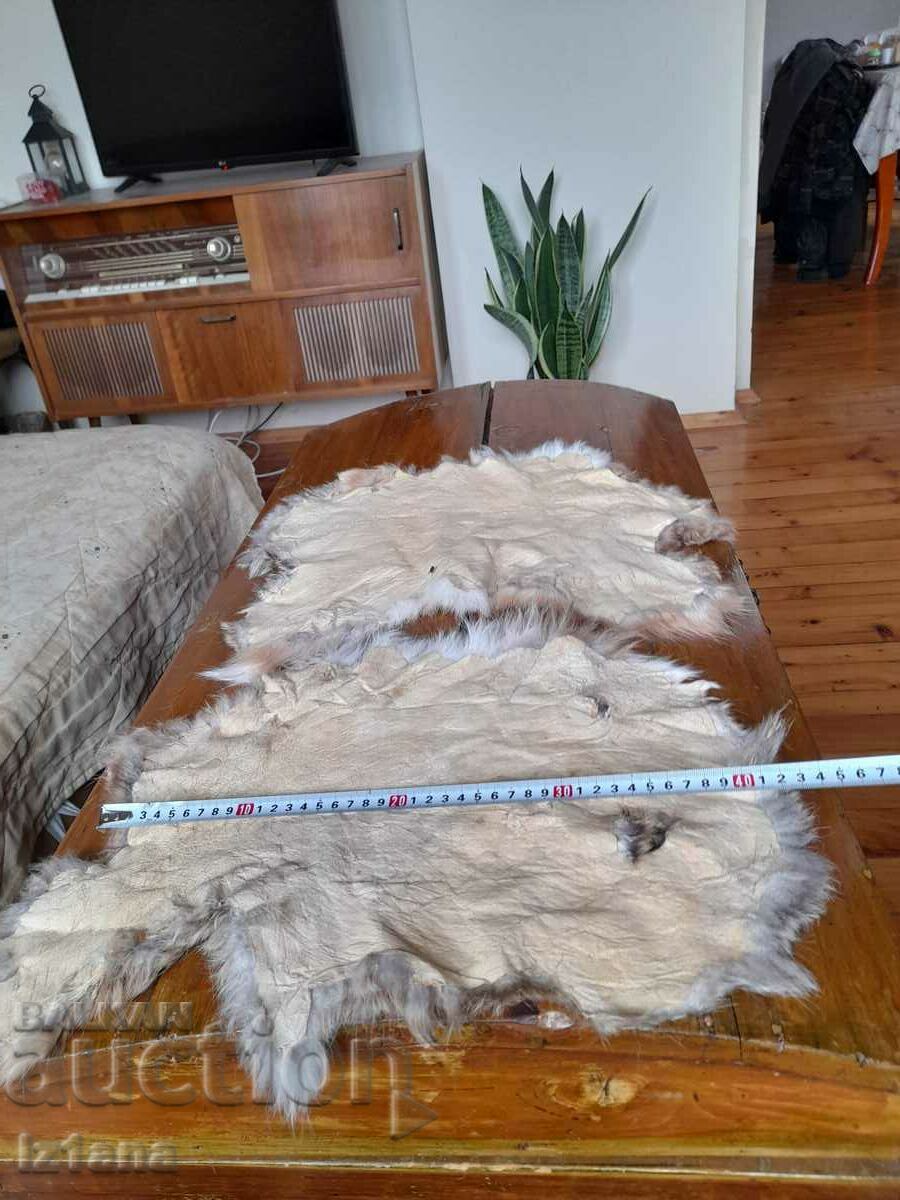 Rabbit skin, skins - 7 Rabbit skin, skins - 7