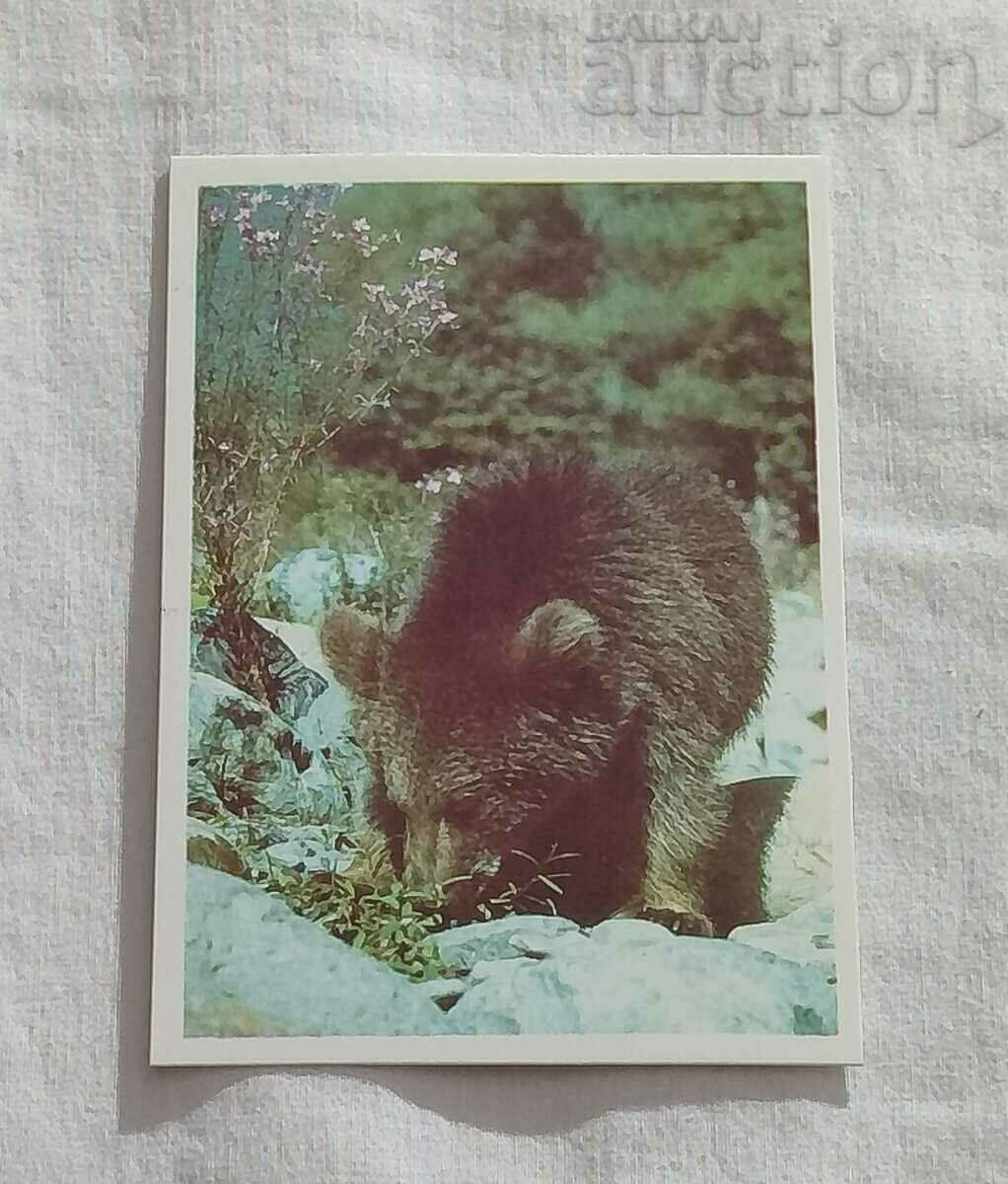 BROWN BEAR CALENDAR 1990