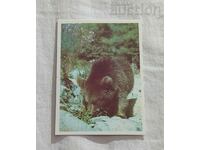 BROWN BEAR CALENDAR 1990