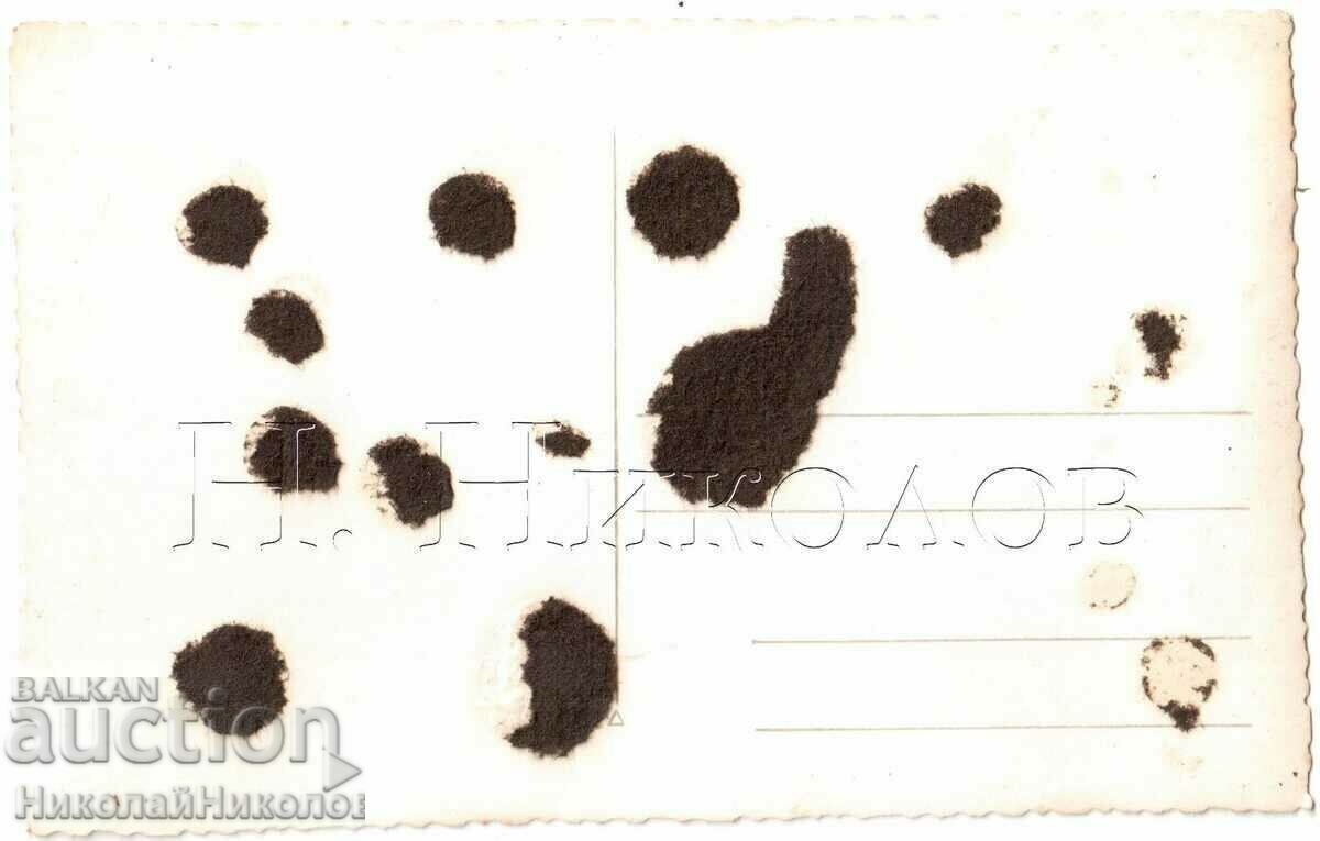 FOTO VECHE SOFIA TREI TINERI SOLDAȚI G952 cu preț € 2.00 | 3.91 BGN