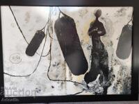 Офсет Stefano Ricci