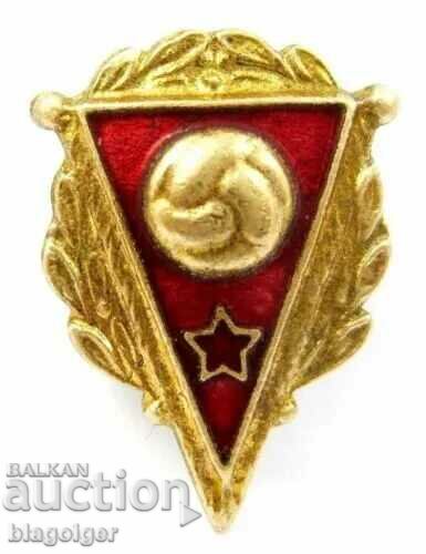 RARE FOOTBALL BADGE-USSR FOOTBALL FEDERATION-EMAIL with price 15.50 BGN | € 7.93