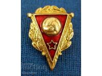 RARE FOOTBALL BADGE-USSR FOOTBALL FEDERATION-EMAIL