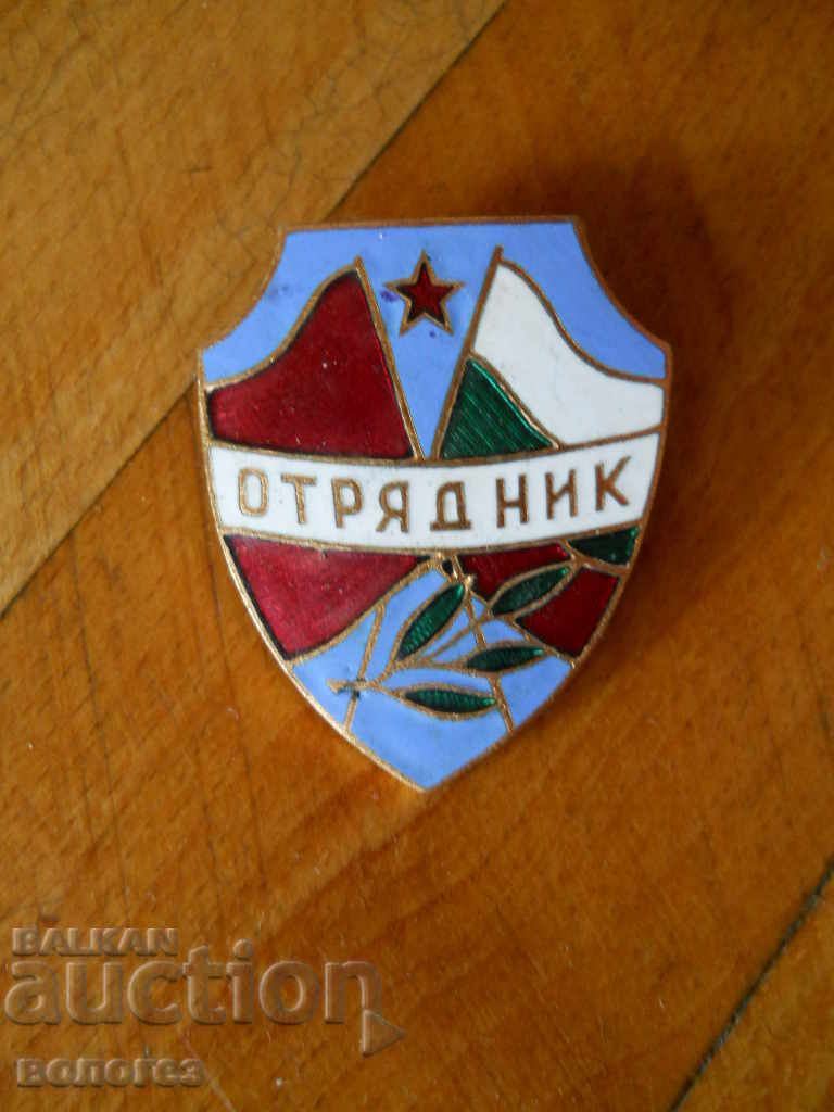 Нагръден знак " Отрядник "