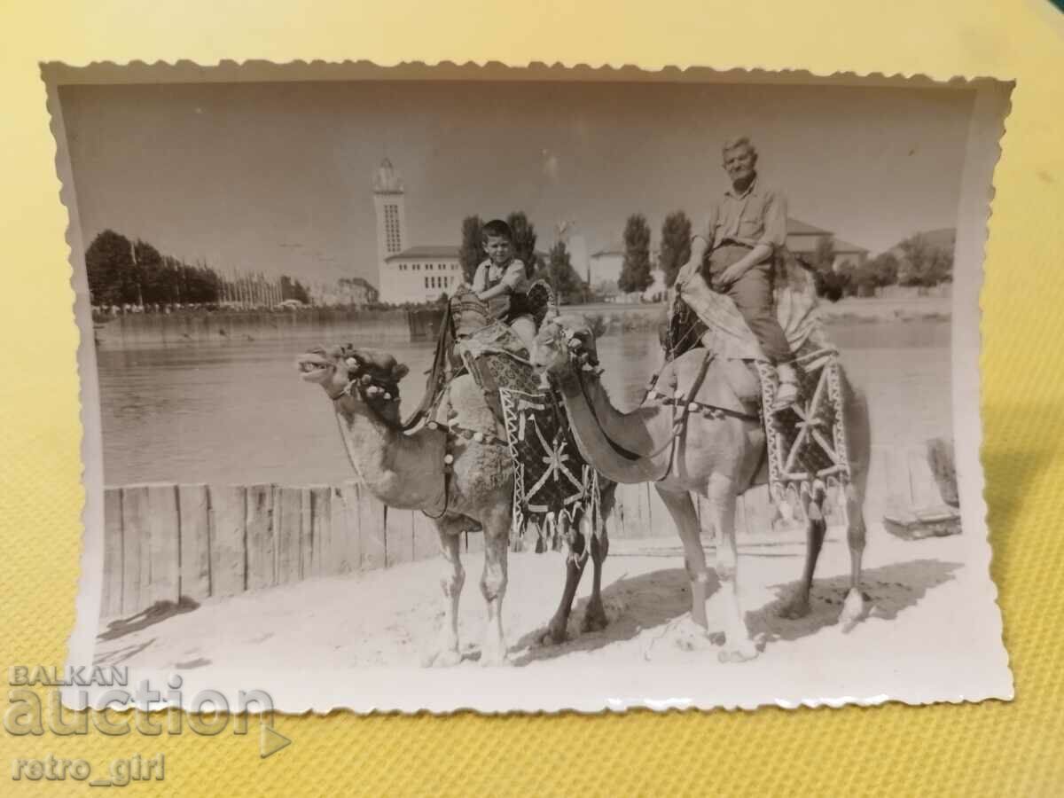 I am selling an old photo, card - Plovdiv.