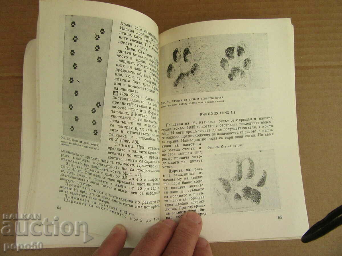 Delivery of TRACES OF THE GAME /reference book/ - 1973. Delivery of TRACES OF THE GAME /reference book/ - 1973.