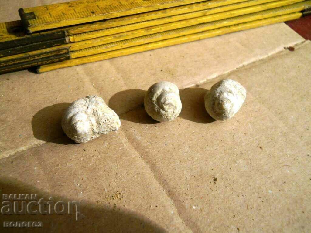 Small fossils - 3 pcs