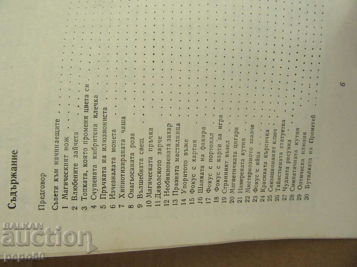 Auction  FUN FOCUS AND ILLUSIONS - 1981