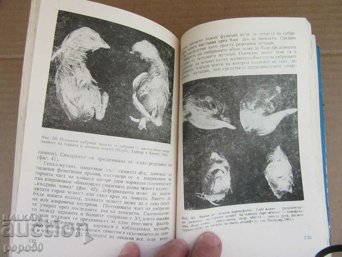 BIOLOGICAL CONTROL DURING INCUBATION - 1968. - 5 BIOLOGICAL CONTROL DURING INCUBATION - 1968. - 5