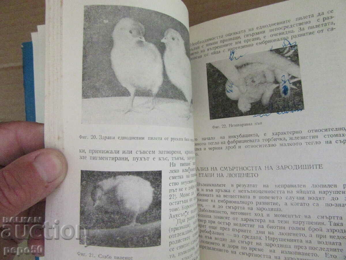 BIOLOGICAL CONTROL DURING INCUBATION - 1968. - 6 BIOLOGICAL CONTROL DURING INCUBATION - 1968. - 6