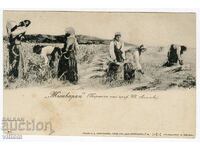 Harvesters Prof. Ivan Angelov edition Karastoyanov postcard