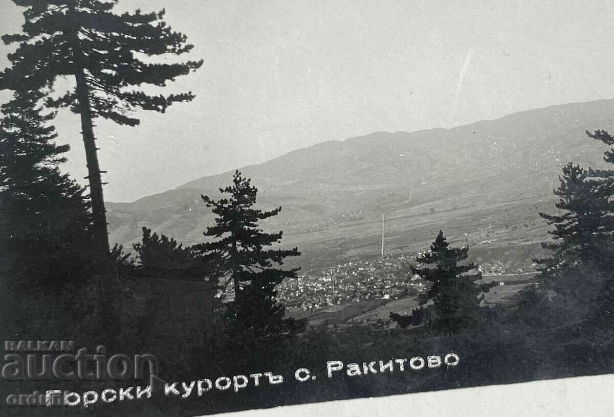 4587 Kingdom of Bulgaria Forest resort village Rakitovo 30s with price 20.00 BGN | € 10.23 4587 Kingdom of Bulgaria Forest resort village Rakitovo 30s with price 20.00 BGN | € 10.23