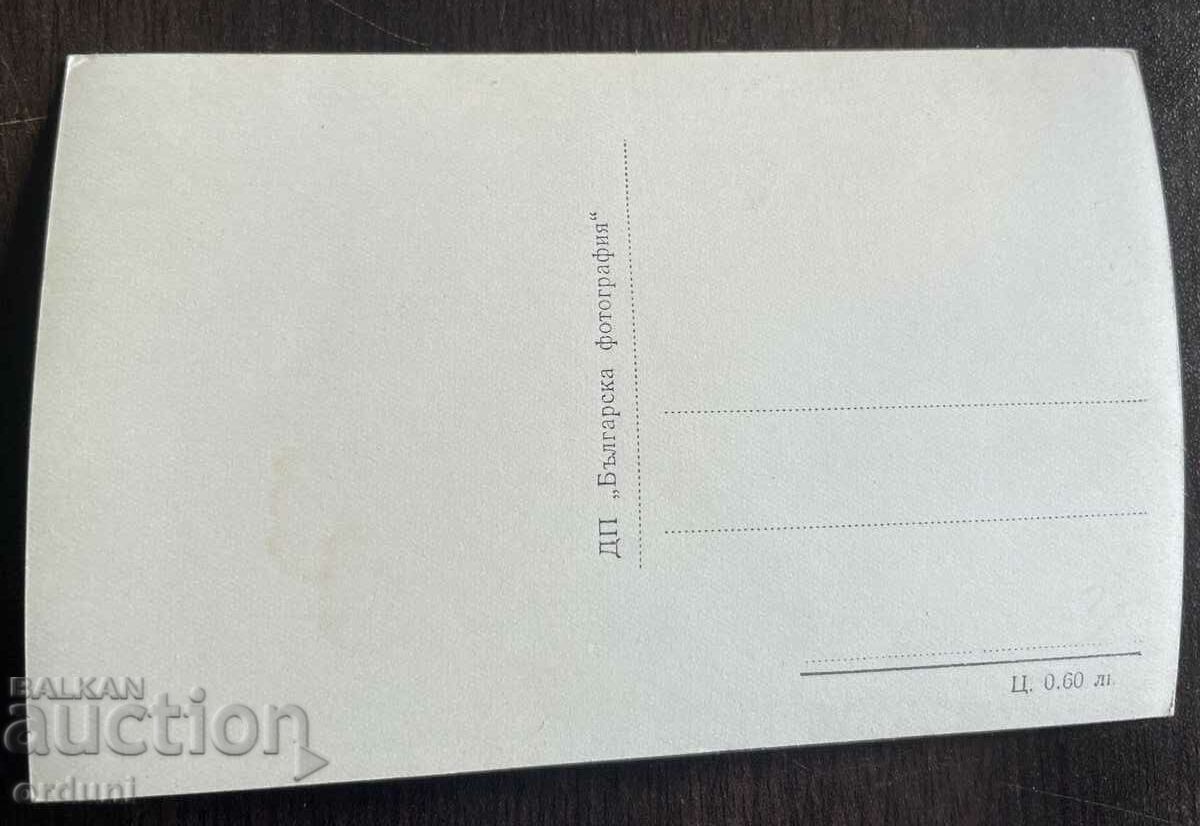 4593 Bulgaria Borovets resort winter Cham Koria 1950s with price 15.00 BGN | € 7.67 4593 Bulgaria Borovets resort winter Cham Koria 1950s with price 15.00 BGN | € 7.67