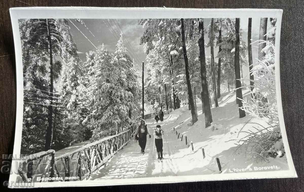 4594 Bulgaria Borovets resort winter Cham Koria 1950s