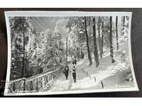 4594 Bulgaria Borovets statiunea iarna Cham Koria anii 1950