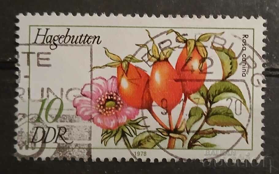 Germany/GDR Flora Kleimo