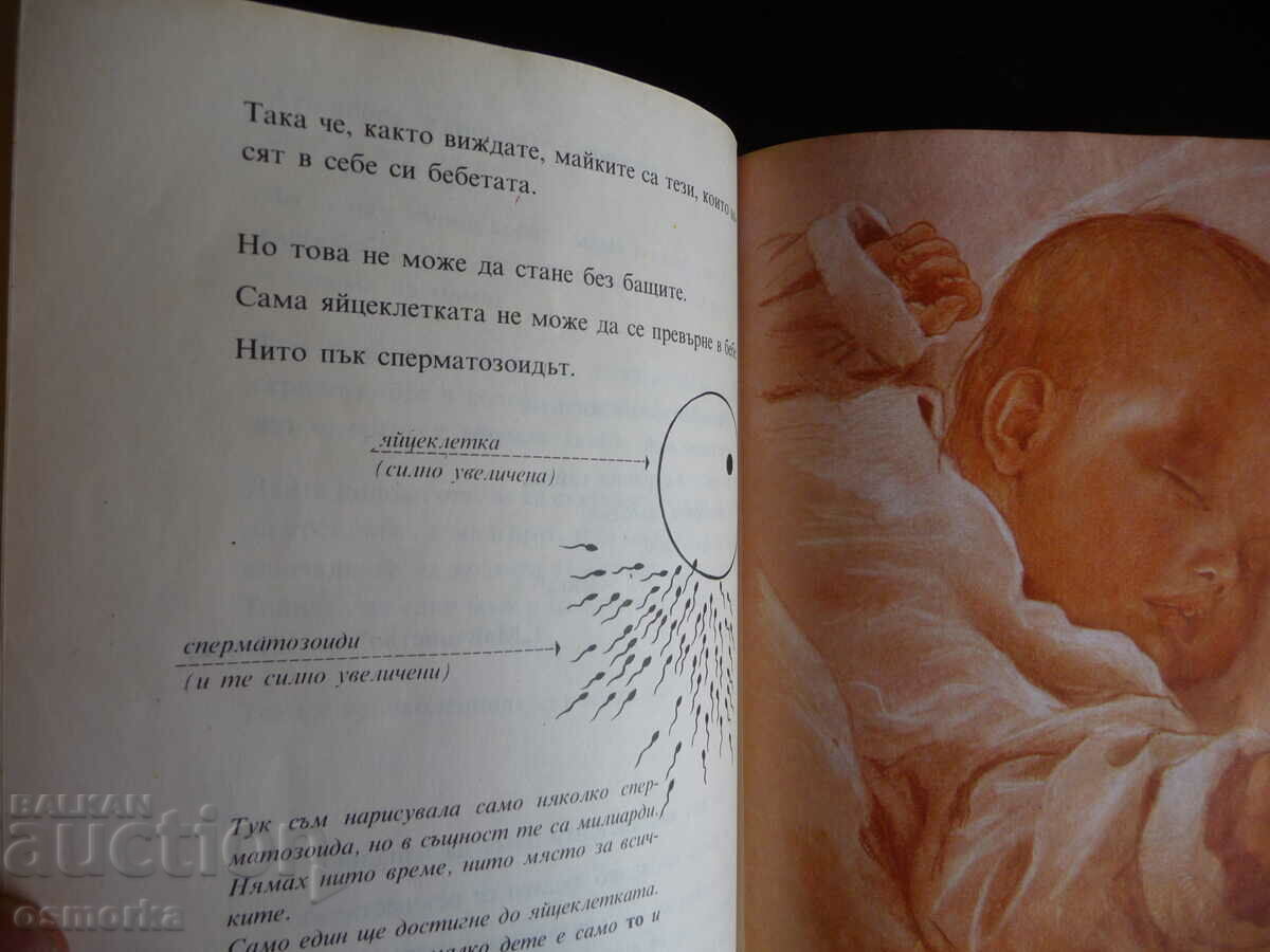 Auction The Truth About Babies Children's Sex Education Book Auction The Truth About Babies Children's Sex Education Book