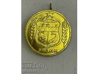 rare sign medal Vidin