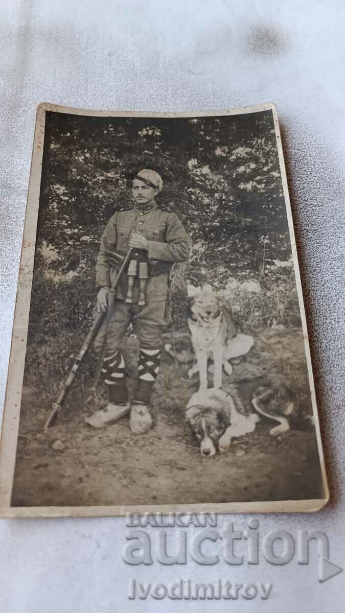 Foto Grănicer cu doi câini de grănicer 1933