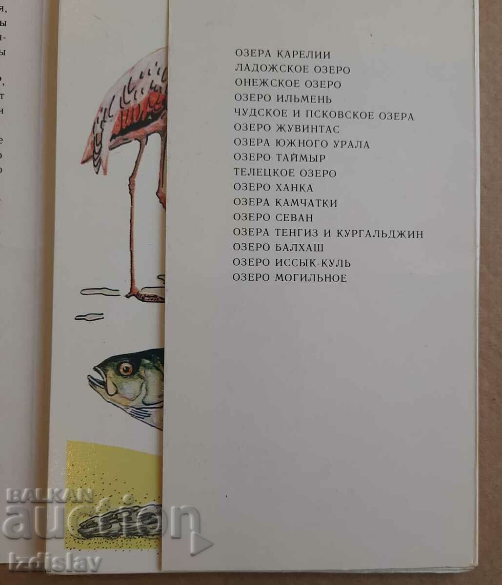 Auction Set of "By the Sea" cards from 1985. Auction Set of "By the Sea" cards from 1985.