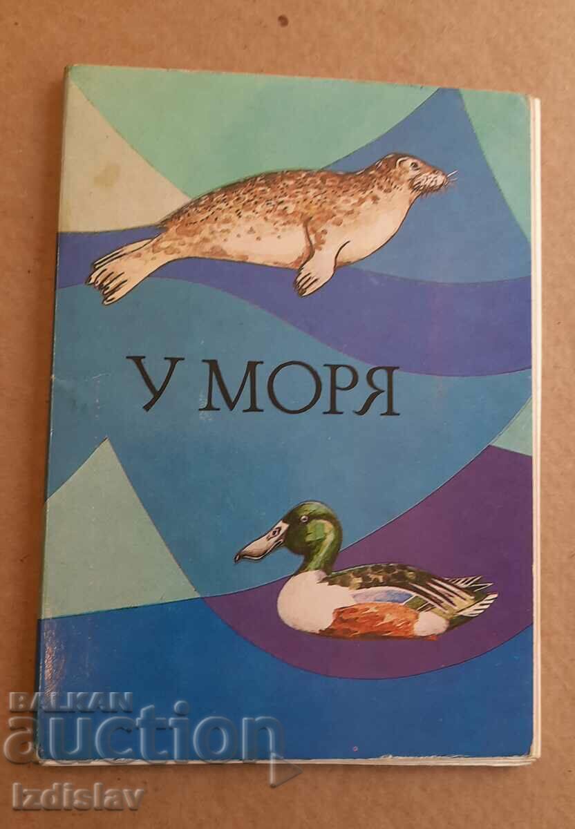 Набор от картички "У моря" от 1985 г.