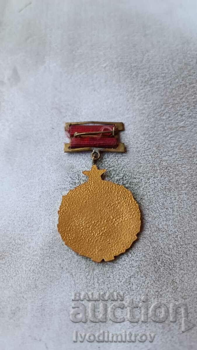 Badge 25 years of State and People's Control with price 8.85 BGN | € 4.52