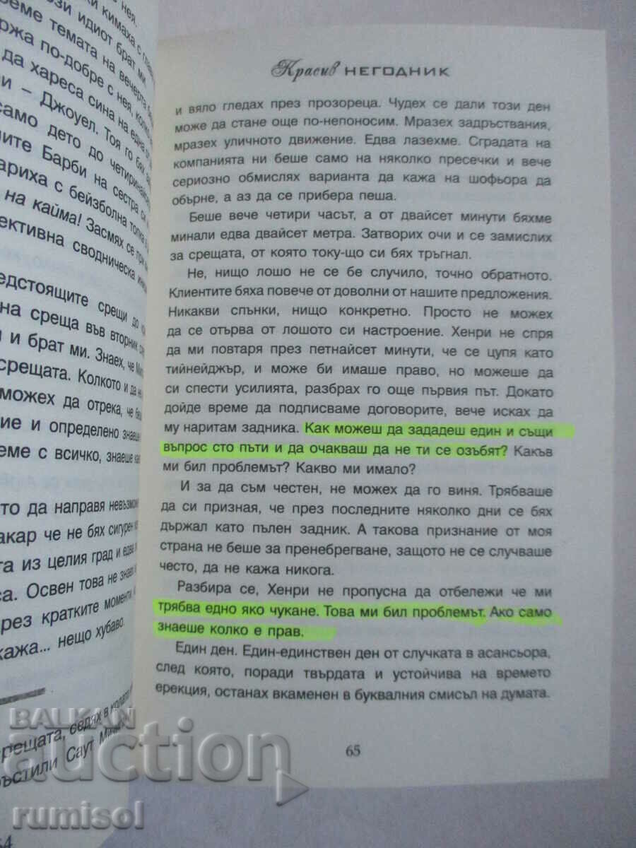 Auction  Beautiful Scoundrel - Christina Loren