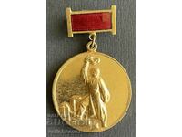 38354 Bulgaria medal National meeting The rationalizers