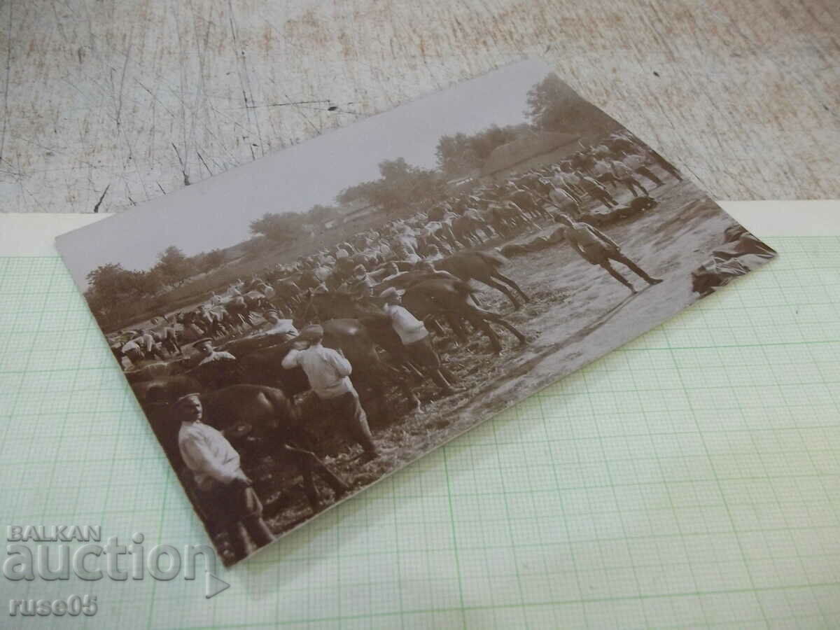 Δημοπρασία Παλιά φωτογραφία στρατιωτών με άλογα σε μια τρύπα ποτίσματος