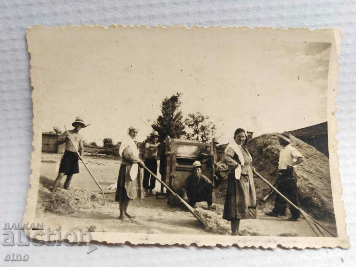 Δημοπρασία ΒΑΣΙΛΙΚΗ ΦΩΤΟΓΡΑΦΙΑ - ΓΕΩΡΓΙΑ, ΝΙΚΗΤΕΣ