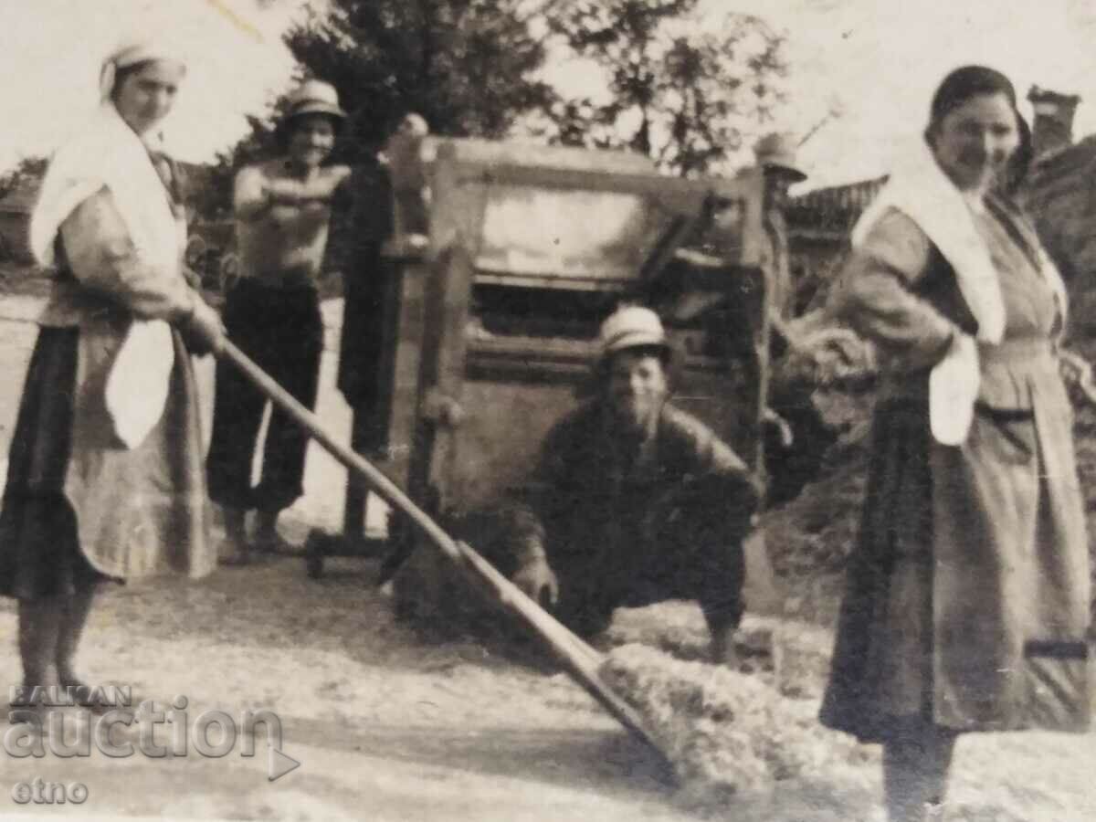 ΒΑΣΙΛΙΚΗ ΦΩΤΟΓΡΑΦΙΑ - ΓΕΩΡΓΙΑ, ΝΙΚΗΤΕΣ