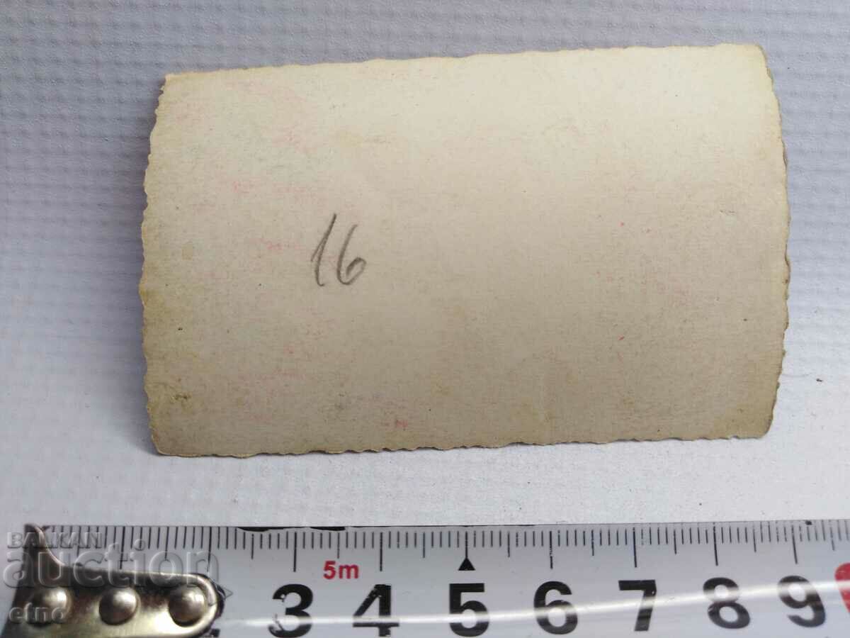 Delivery of ROYAL PHOTO - AGRICULTURE, PLOW, OX, WAGON Delivery of ROYAL PHOTO - AGRICULTURE, PLOW, OX, WAGON