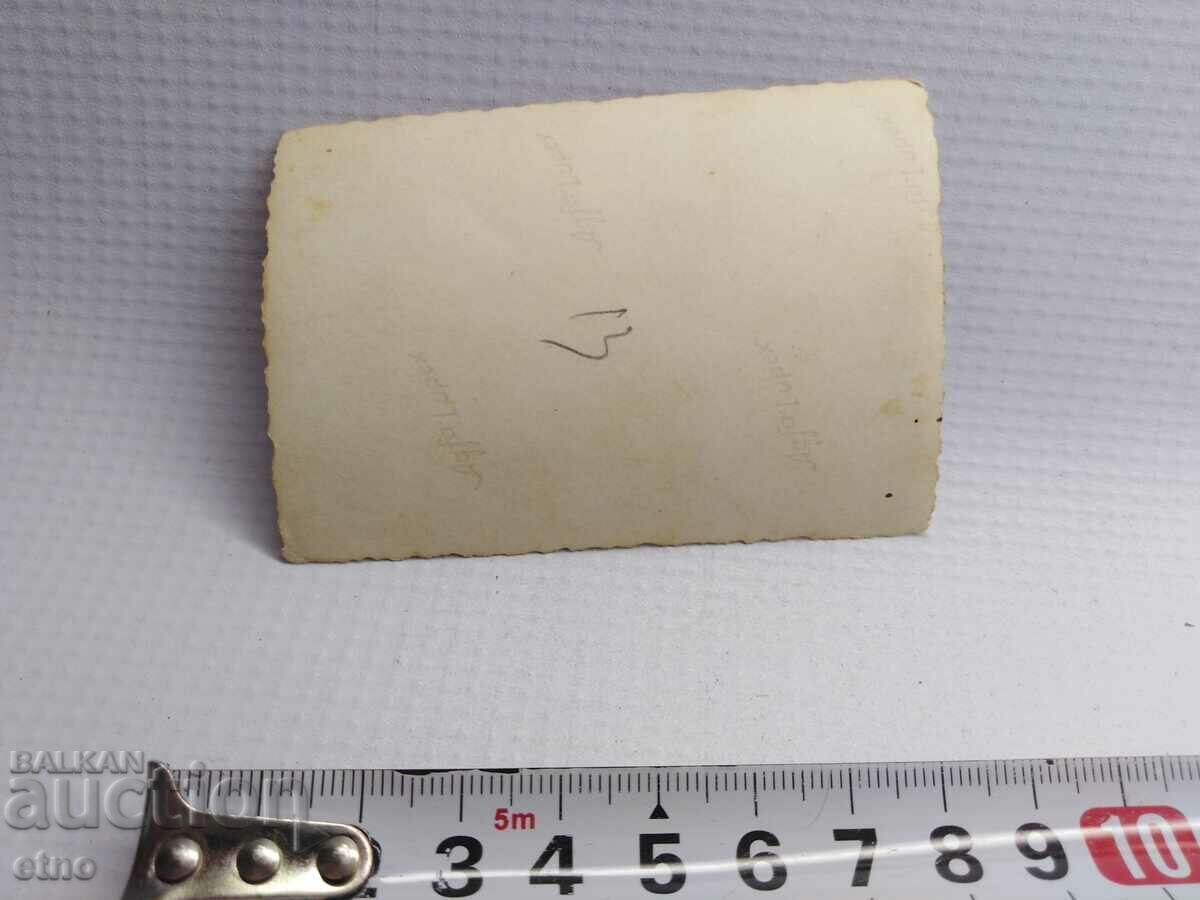 ROYAL PHOTO - AGRICULTURE, PLOW, OX, WAGON with price 10.00 BGN | € 5.11 ROYAL PHOTO - AGRICULTURE, PLOW, OX, WAGON with price 10.00 BGN | € 5.11