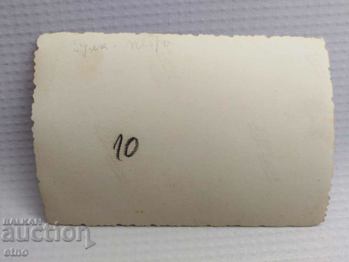 ROYAL PHOTO - AGRICULTURE, PLOW, OX, WAGON - 5 ROYAL PHOTO - AGRICULTURE, PLOW, OX, WAGON - 5