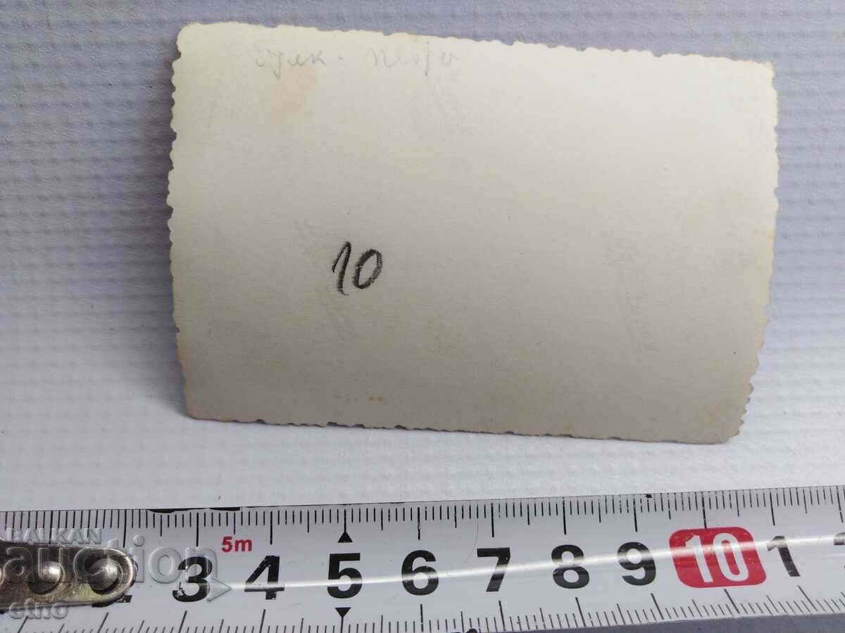 ROYAL PHOTO - AGRICULTURE, PLOW, OX, WAGON - 6 ROYAL PHOTO - AGRICULTURE, PLOW, OX, WAGON - 6