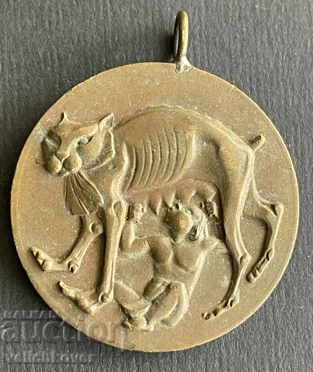 38405 Bulgaria humorous medal hero kissed by a cat